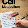 Diabetes e inflamação na perda de memória associada à doença de Alzheimer