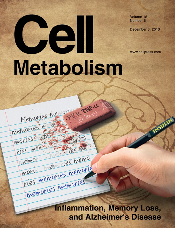 Cell Metabolism_cover_Dec2013