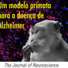 Macacos apresentam sintomas similares aos da Doença de Alzheimer