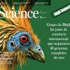 Os genomas das aves: entrevista com o Prof. Francisco Prosdocimi