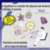 Uma hipótese para unificar aspectos físicos e químicos do desenovelamento de proteínas