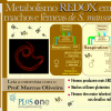 Metabolismo redox em Schistosoma mansoni