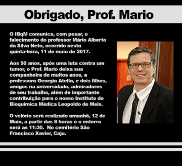 Obrigado, Prof. Mario.