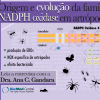 História evolutiva da família de proteínas NOX em artrópodes