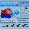 PortalPalhano2
