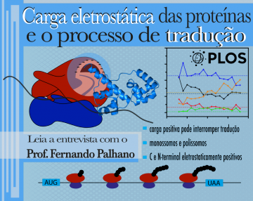 PortalPalhano2