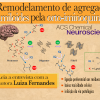 Orto-iminoquinona: uma molécula capaz de inibir agregação de fibras amiloides