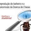 Identificado um novo mecanismo bioquímico que permite simultaneamente a reprodução do barbeiro e a transmissão da Doença de Chagas